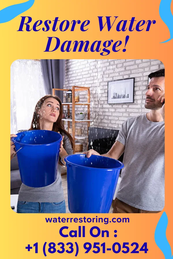 water restoration Crown Recovery Experts Williams