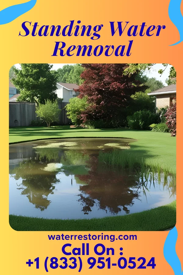 Standing Water Removal in Williams, SC